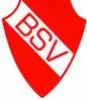 Bodelwitzer SV
