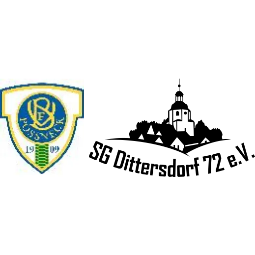 (1M) VFB 1909 Pößneck II <span class="nowrap bold mx-1">1 : 3</span> SG Dittersdorf
