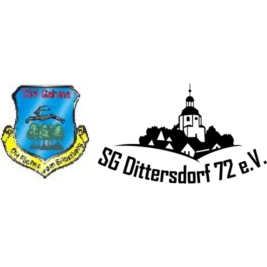 (1M) TSV Gahma <span class="nowrap bold mx-1">1 : 5</span> SG Dittersdorf