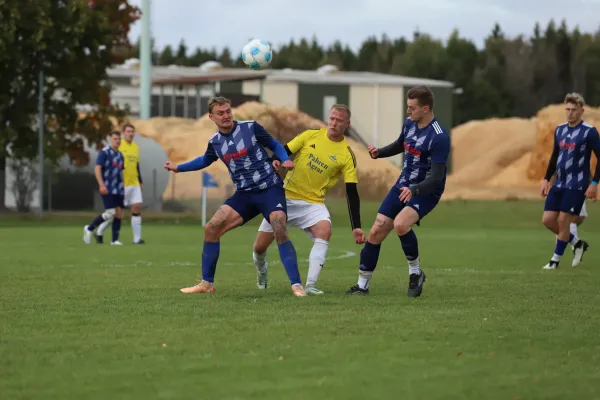 SG Dittersdorf - TSV Gahma