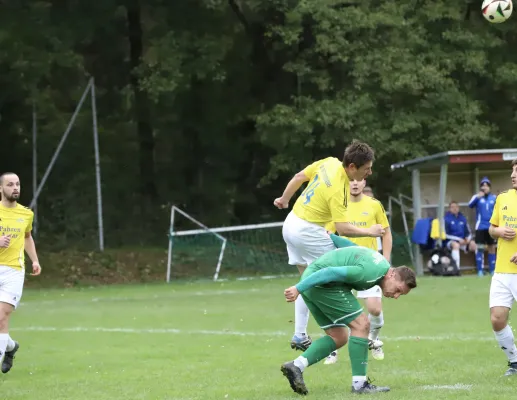 SG D- Chemie Triptis