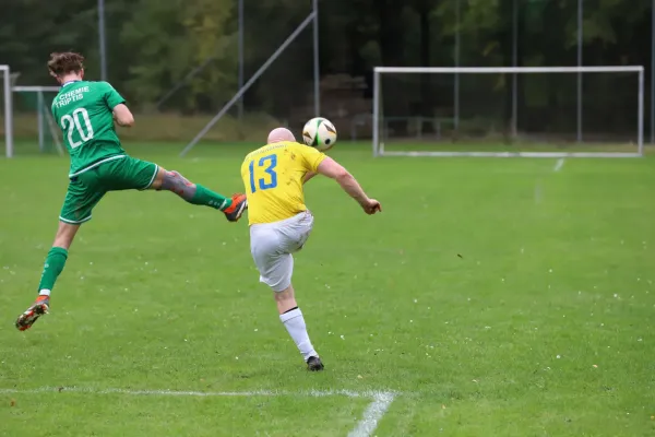 SG D- Chemie Triptis