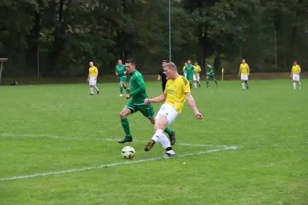 SG D- Chemie Triptis