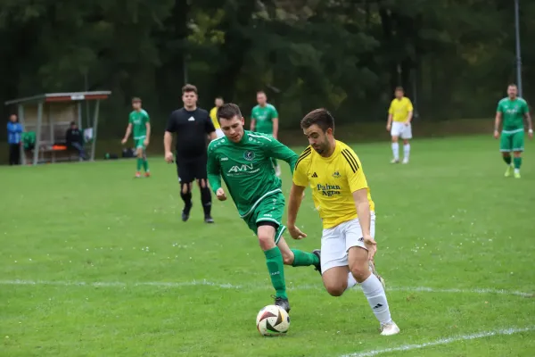SG D- Chemie Triptis