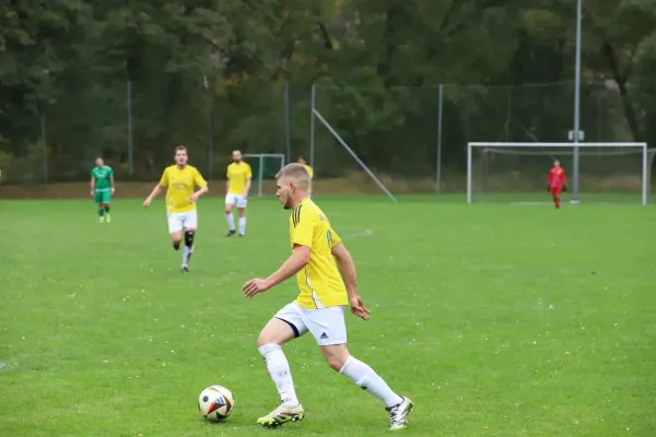 SG D- Chemie Triptis