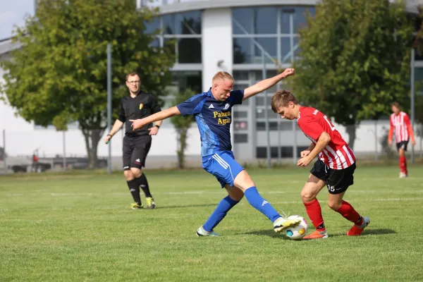 SG Dittersdorf - Bodelwitzer SV