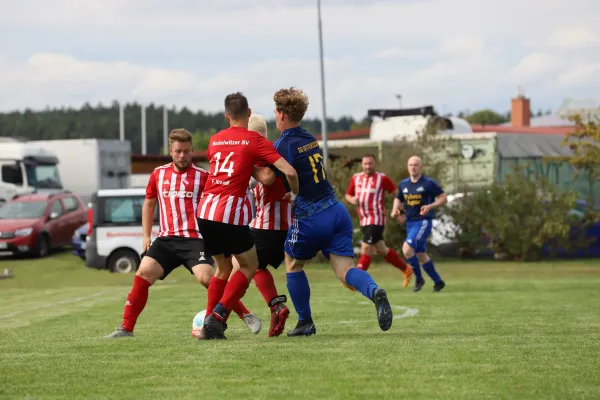 SG Dittersdorf - Bodelwitzer SV