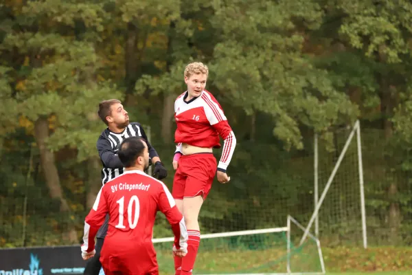 19.10.2025 SG Dittersdorf II vs. SG Grün-Weiß Tanna II