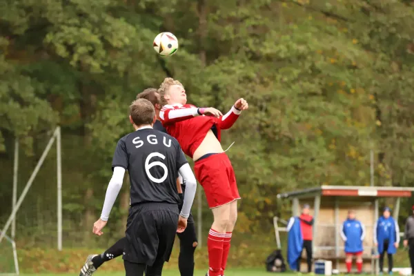 19.10.2025 SG Dittersdorf II vs. SG Grün-Weiß Tanna II