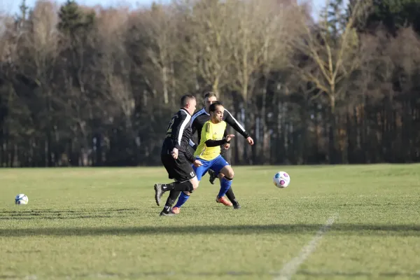 16.11.2025 SG Dittersdorf II vs. SG Bergland